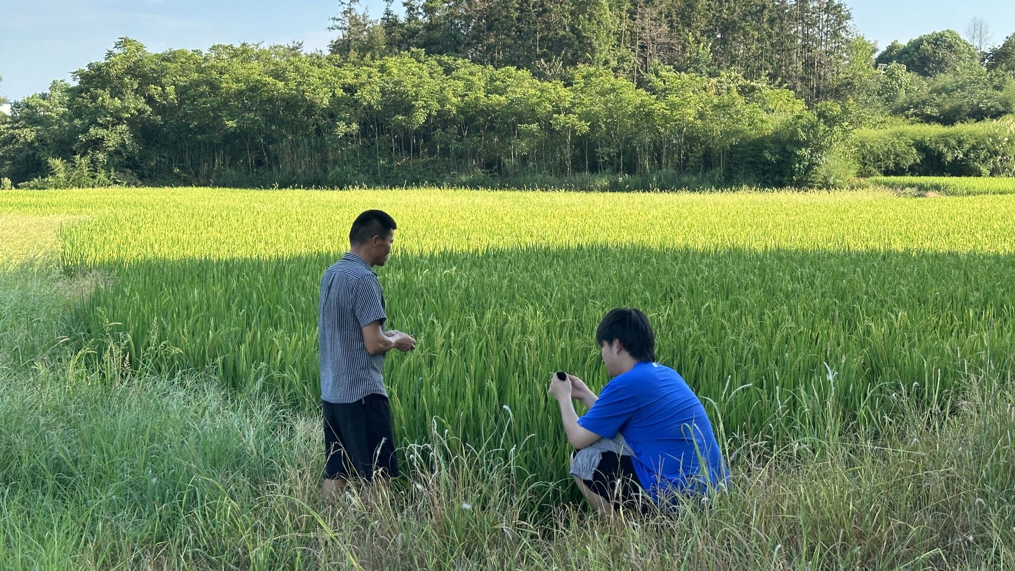 QQ圖片20240725220049.jpg